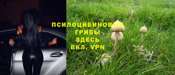 соль курить ск Дмитриев