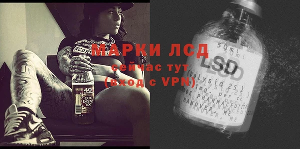 mdpv Дмитров