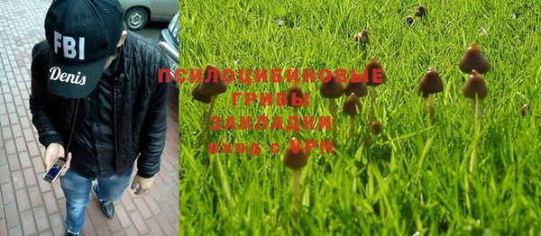 первитин Горняк