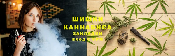 первитин Горняк