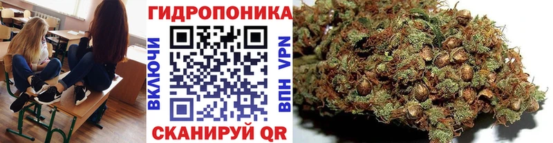 сайты даркнета телеграм  Завитинск  МАРИХУАНА марихуана 